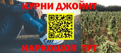 дживик Партизанск