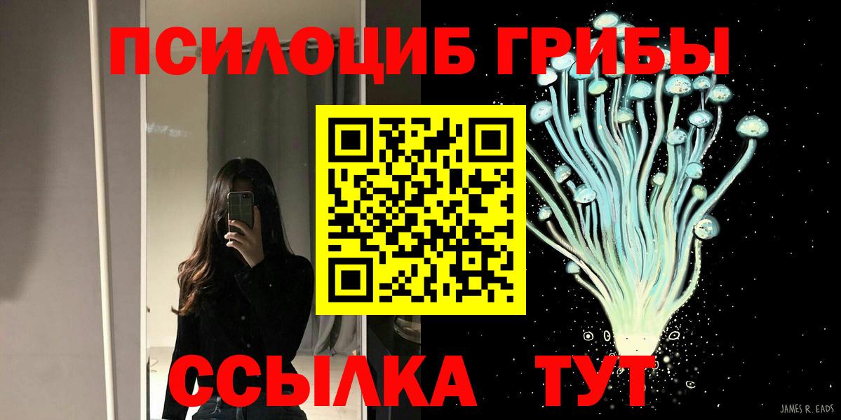Псилоцибиновые грибы GOLDEN TEACHER  купить наркотики цена  Улан-Удэ  Вход с VPN 